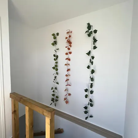 Guest house La Setenil De Las Bodegas